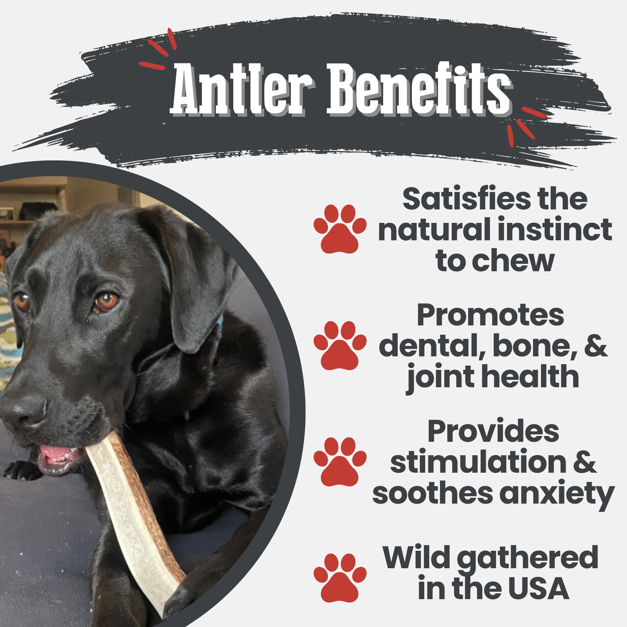 Large split elk antler dog chew by Farm To Pet, all-natural and non-splintering antler treat for dogs.
