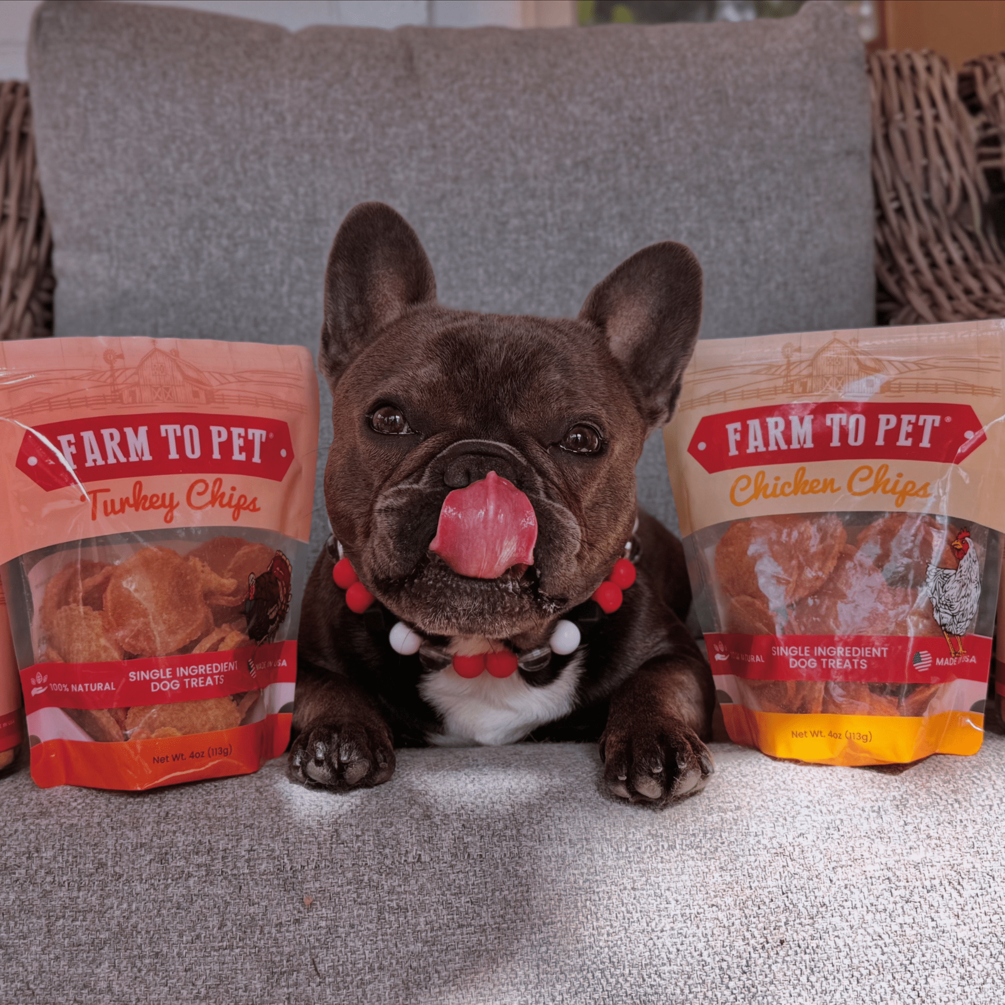 Farm To Pet turkey and chicken chip dog treats duo, nutrient-rich single-ingredient poultry treats in a 4oz package