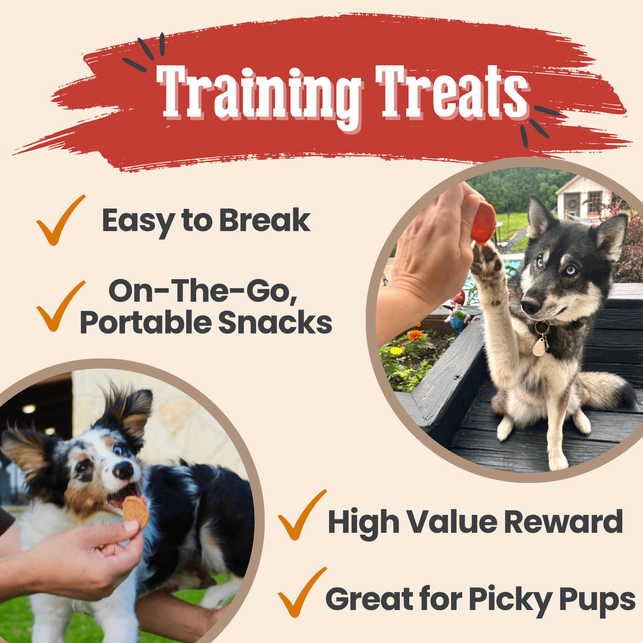 Farm To Pet turkey and chicken chip dog treats duo, single-ingredient poultry snacks for training and rewarding dogs.