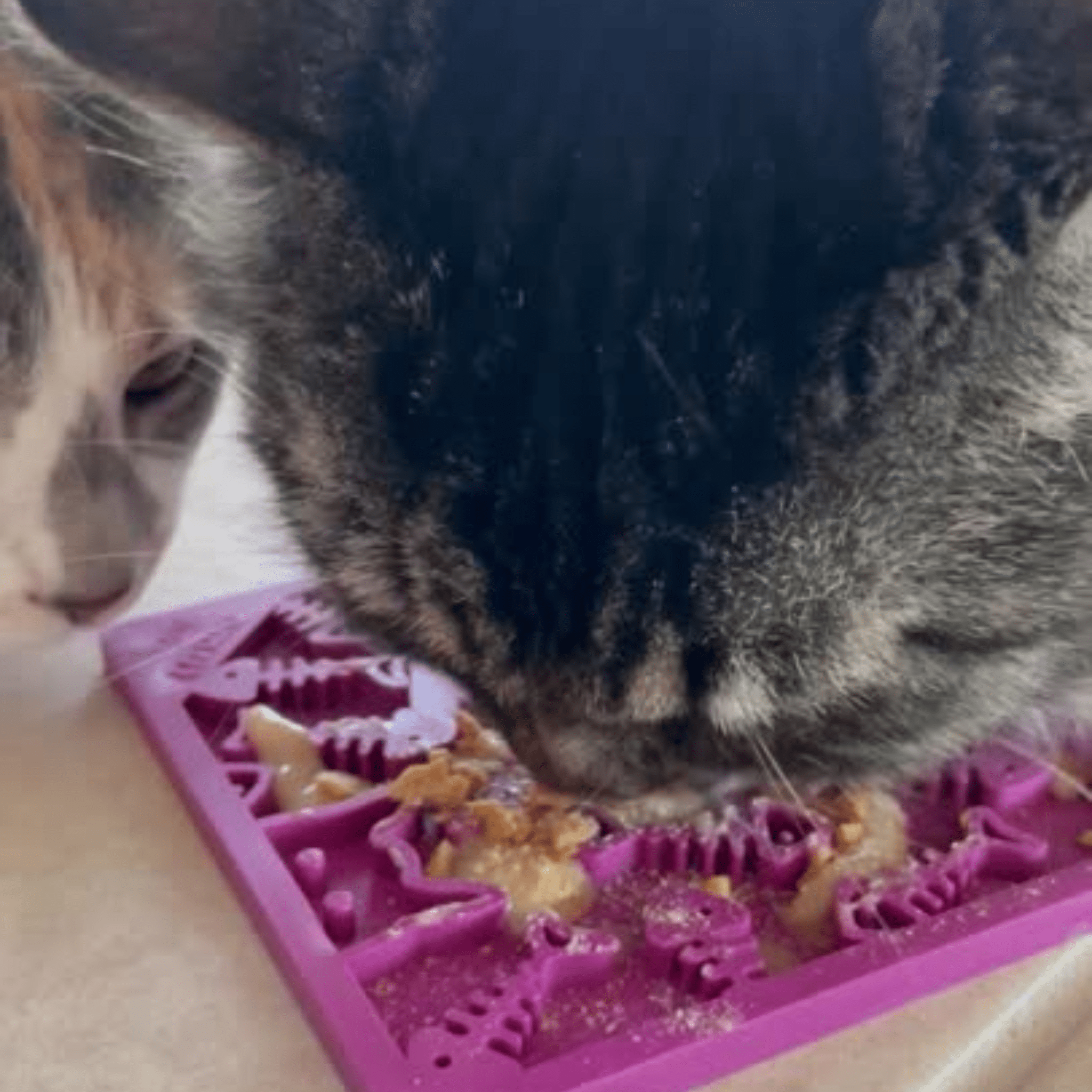 Maroon Farm To Pet lick mat with fishbone design for cats and small dogs, providing engaging pet enrichment.