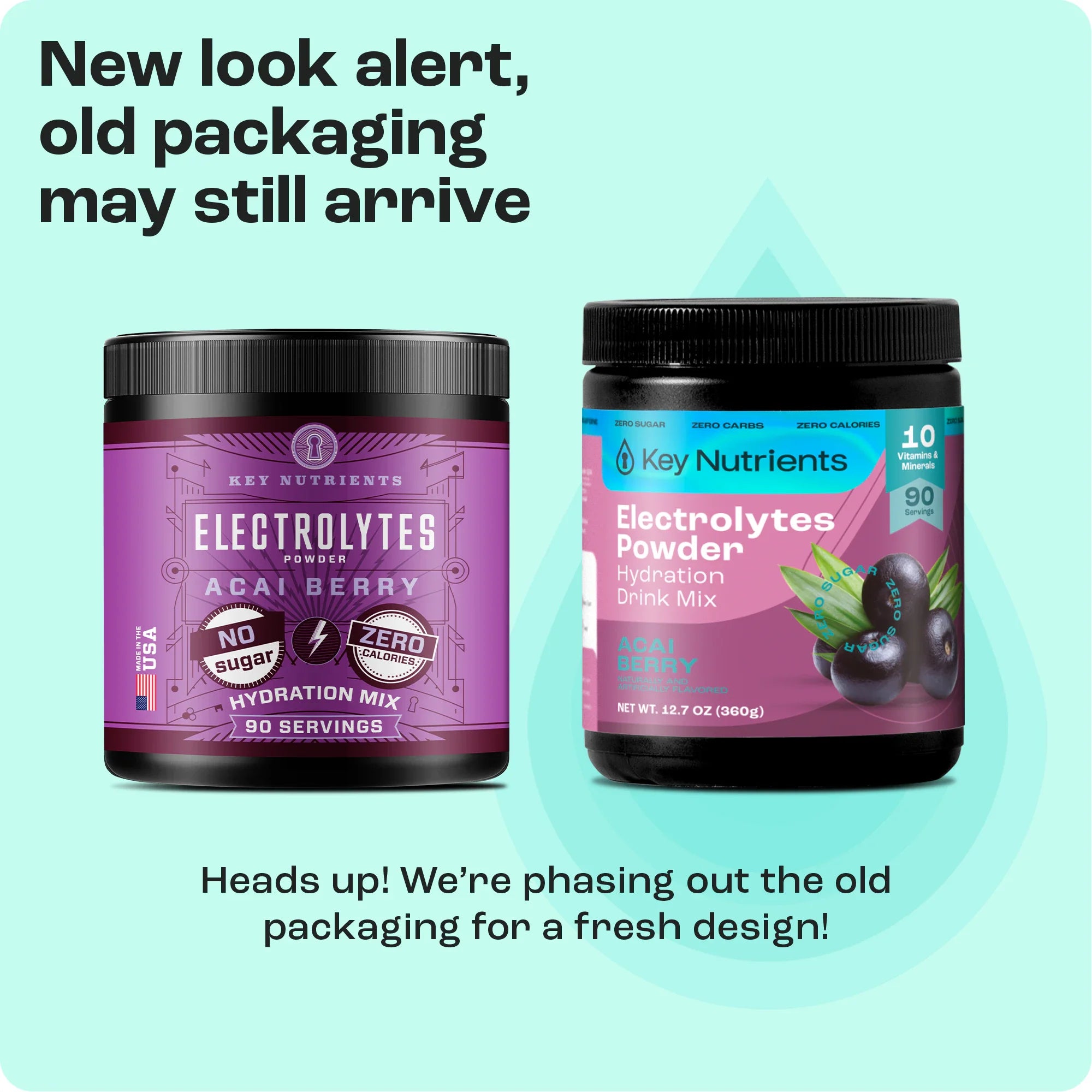 Key Nutrients Electrolyte Recovery Plus Powder in a sugar-free electrolyte powder container with label details visible.