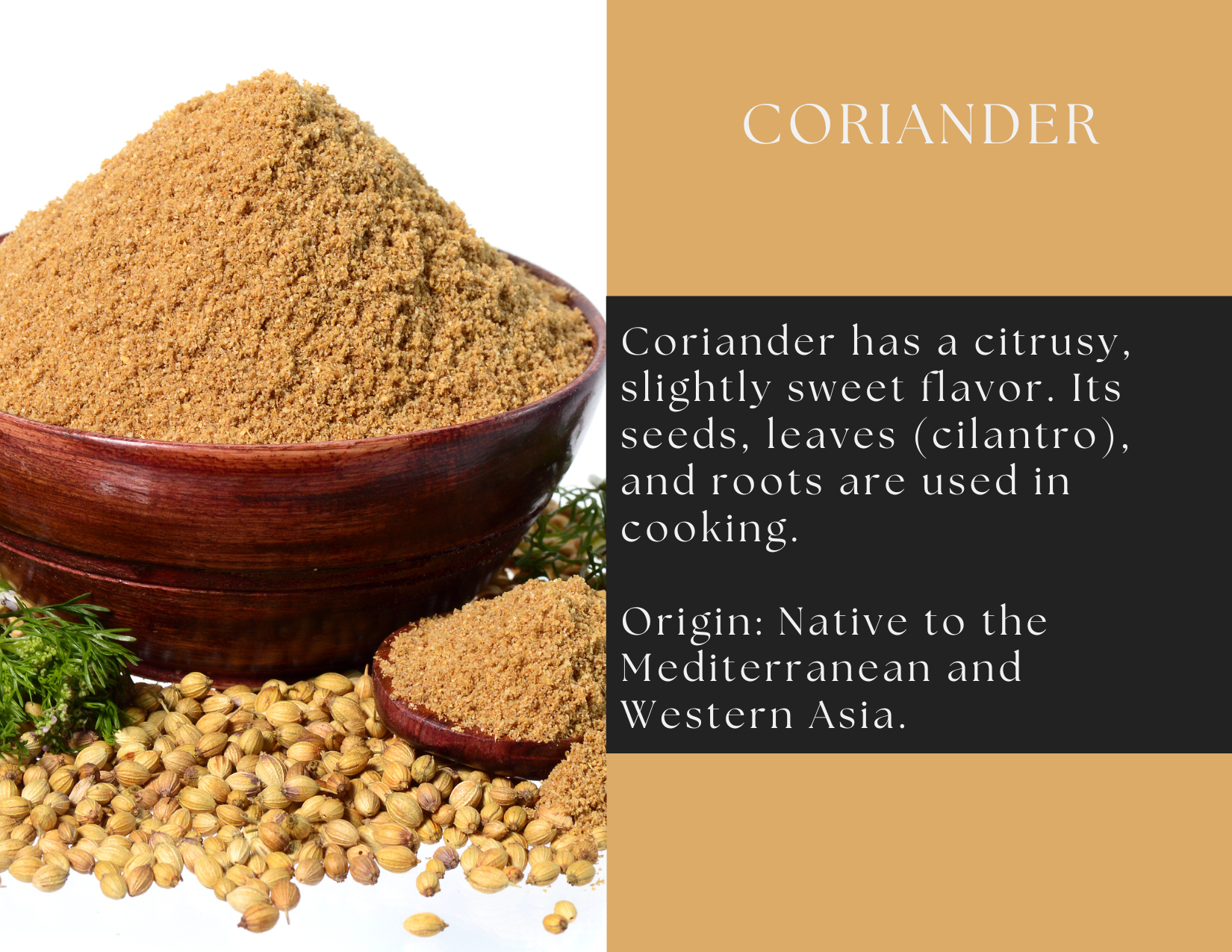 Glass jar of Spice Wheel coriander powder with a clear view of the labeled container on a white background.