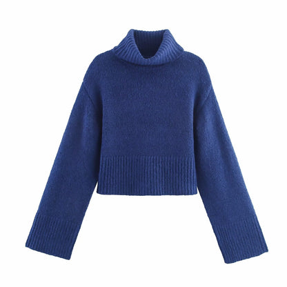 Women Clothing Winter Long Sleeve Stand Collar Basic Comfortable All Matching Sweater