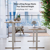 DeerRun electric standing desk, 39x23 inches, height adjustable with a clean workspace and modern design.