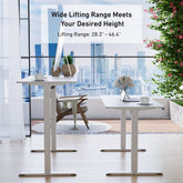 DeerRun® electric standing desk, 39 x 23 inches, height adjustable with a spacious work surface and modern design.