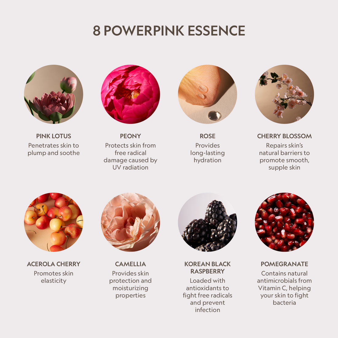 YENSA Pink Lotus Peptide Renewal Face Cream jar with pink and white packaging, skincare product for rejuvenating facial treatment