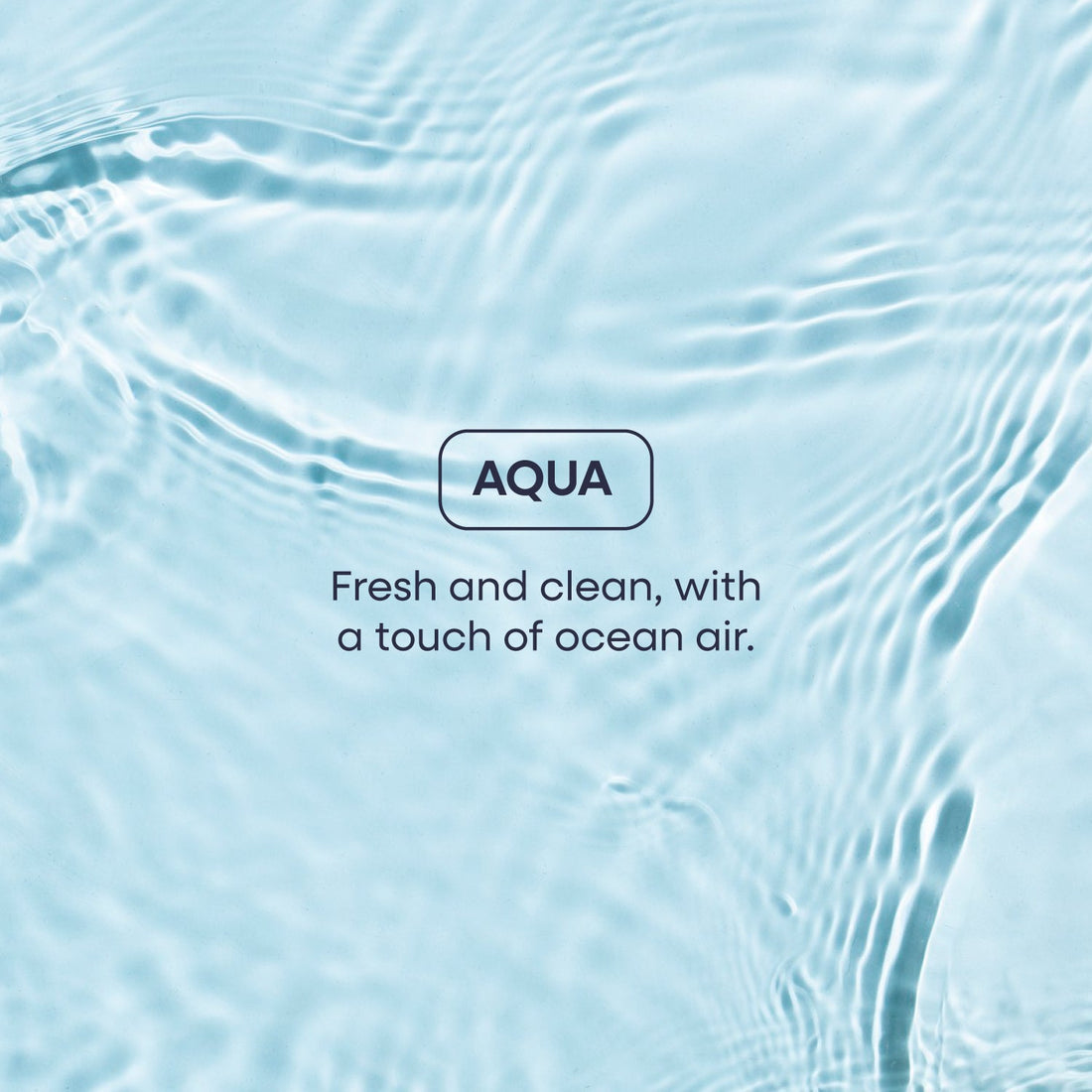 Duradry Body Wash Duo featuring deep cleansing body cleansers in sleek bottles, ideal for refreshing and revitalizing skin.