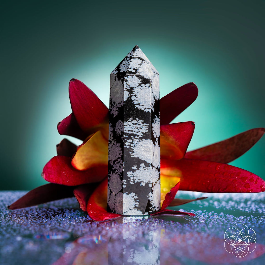 Spiritual Bodyguard Snowflake Obsidian point used as a home decoration, showcasing its black stone with white snowflake patterns.