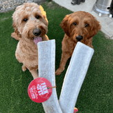 Large split elk antler dog chew from Farm To Pet, all-natural organic antler treat for dogs, showing the textured split antler surface.