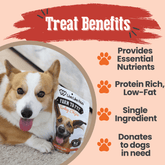 Farm To Pet Live Like Roo Turkey Chips for Dogs, antibiotic-free dog treat chips with natural turkey flavor and health benefits.