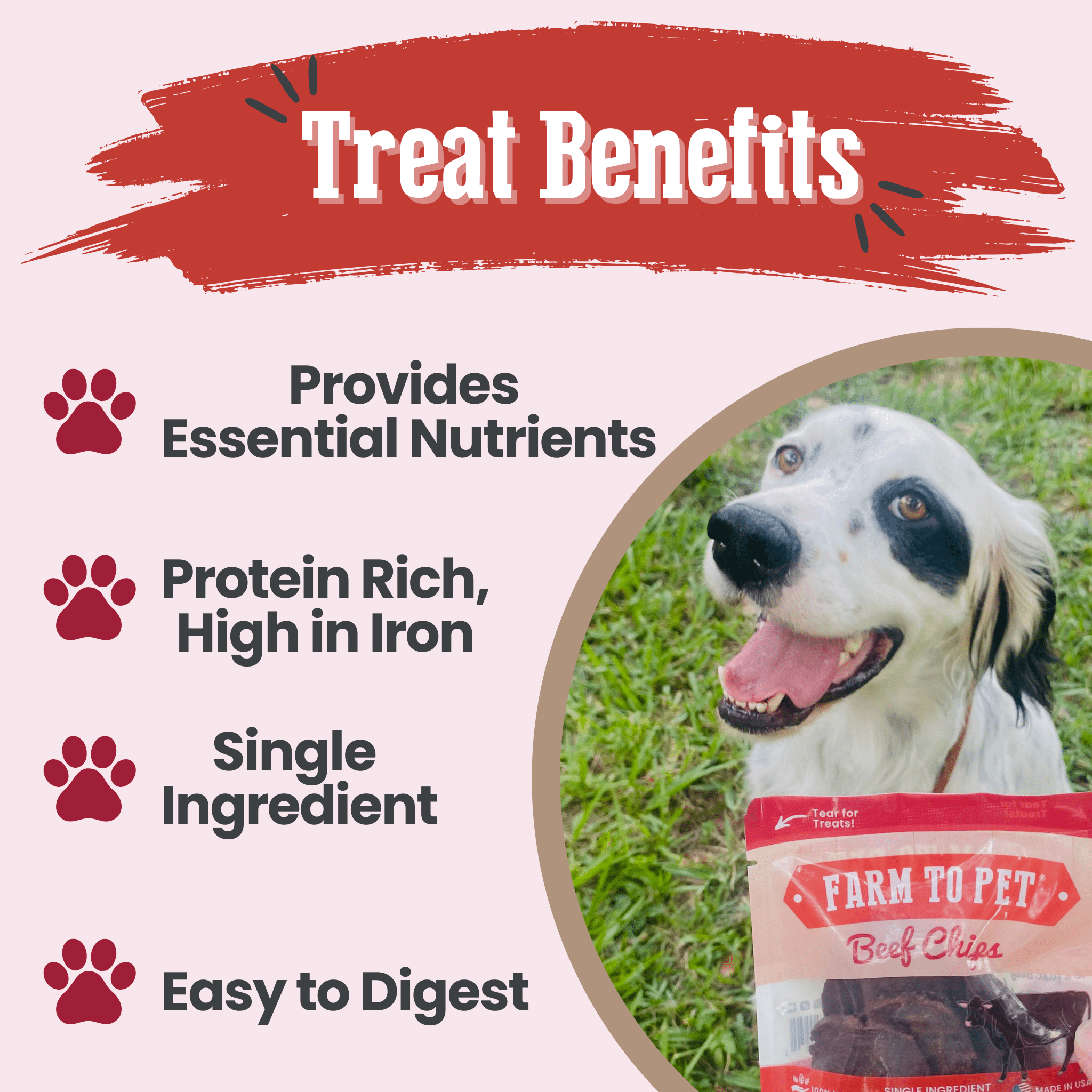Beef Chips Snack Pack Bundles | Dog Treats for Training &amp; Travel