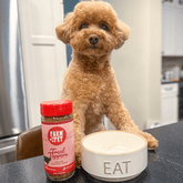 Farm To Pet beef dog food treat topper in powdered form served in a bowl, enhancing pet meals with high-quality beef flavor.