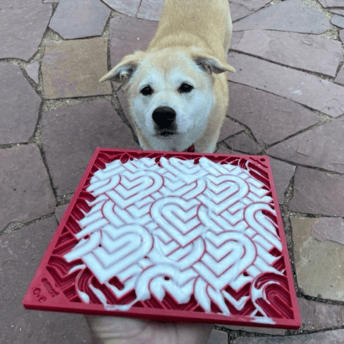 Large red dog lick mat with heart patterns from Farm To Pet, designed to keep dogs entertained and calm.