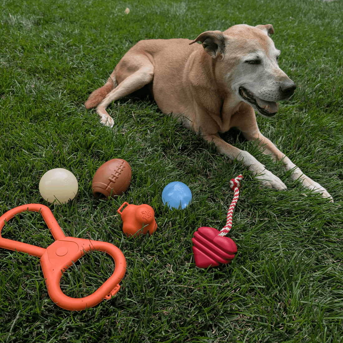 Farm To Pet tug toy for dogs, durable rubber chew toy designed for interactive tug and fetch play.