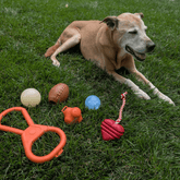 Farm To Pet tug toy for dogs, durable rubber chew toy designed for interactive tug and fetch play.