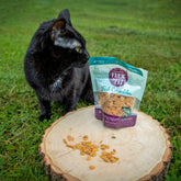 All-natural Fish Crumbles for Cats by Farm To Pet, featuring a cat looking at a bag of lean fish cat treats.