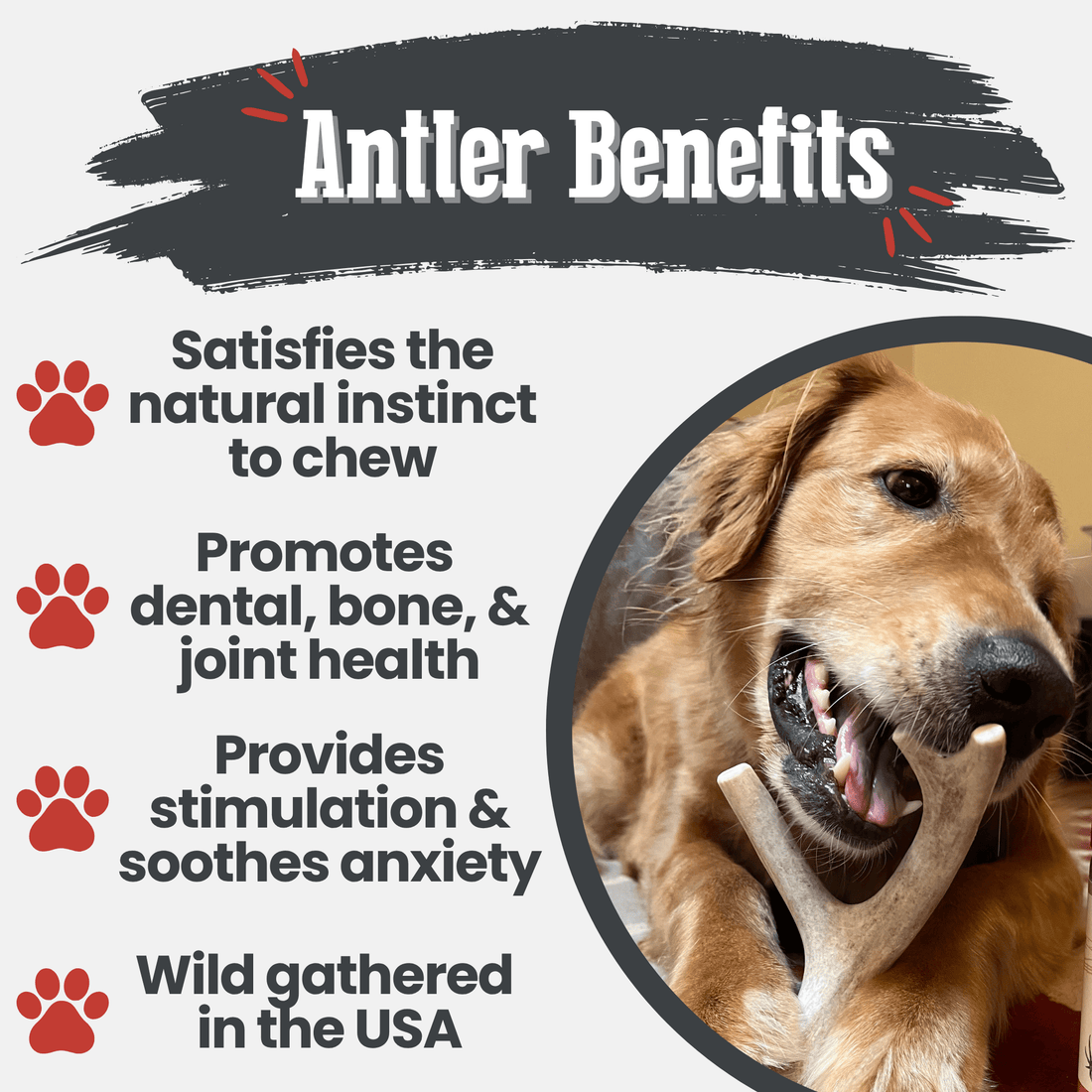 Large Farm To Pet deer antler dog chew showing a natural, non-splintering organic antler bone for dogs, ideal for dental health.