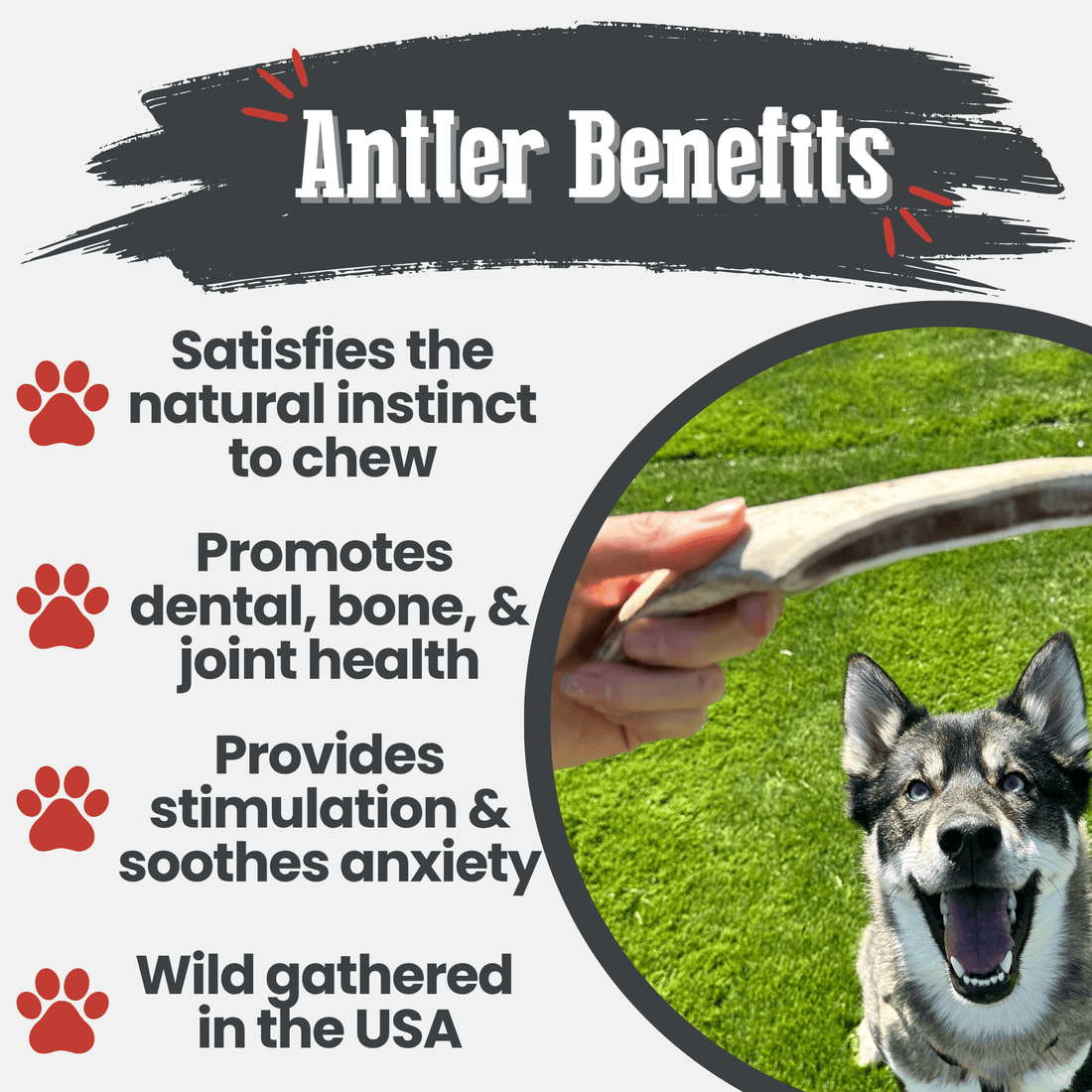 Medium-sized Farm To Pet reindeer antler dog chew showing a split antler with natural texture, ideal for healthy, organic dog treats