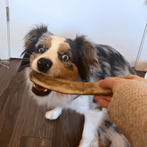 Small Farm To Pet reindeer antler dog chew showing a split, organic, non-splintering antler dog bone for healthy chewing.
