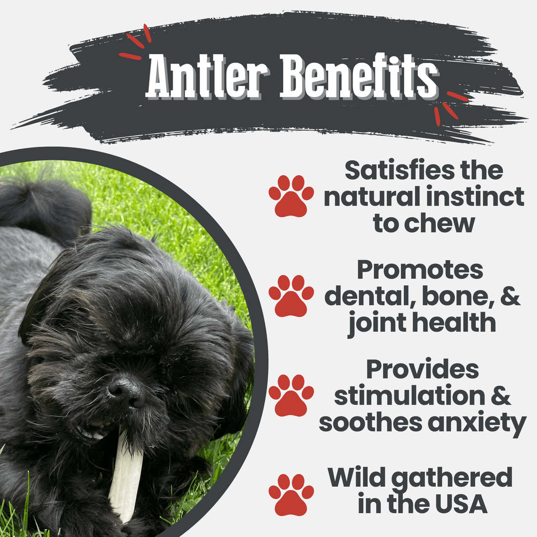 Farm To Pet reindeer antler dog chew, organic split antler bone for dogs, natural non-splintering chew for healthy dogs.