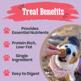 Farm To Pet Puppy Love Dog Treat Duo with poultry chip variety pack featuring chicken and turkey chips for healthy dog snacks.
