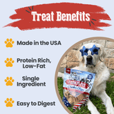 Farm To Pet Americana Chicken Chips for dogs, USA-made chicken treat in 12oz bag, natural dog snack with lean chicken slices.