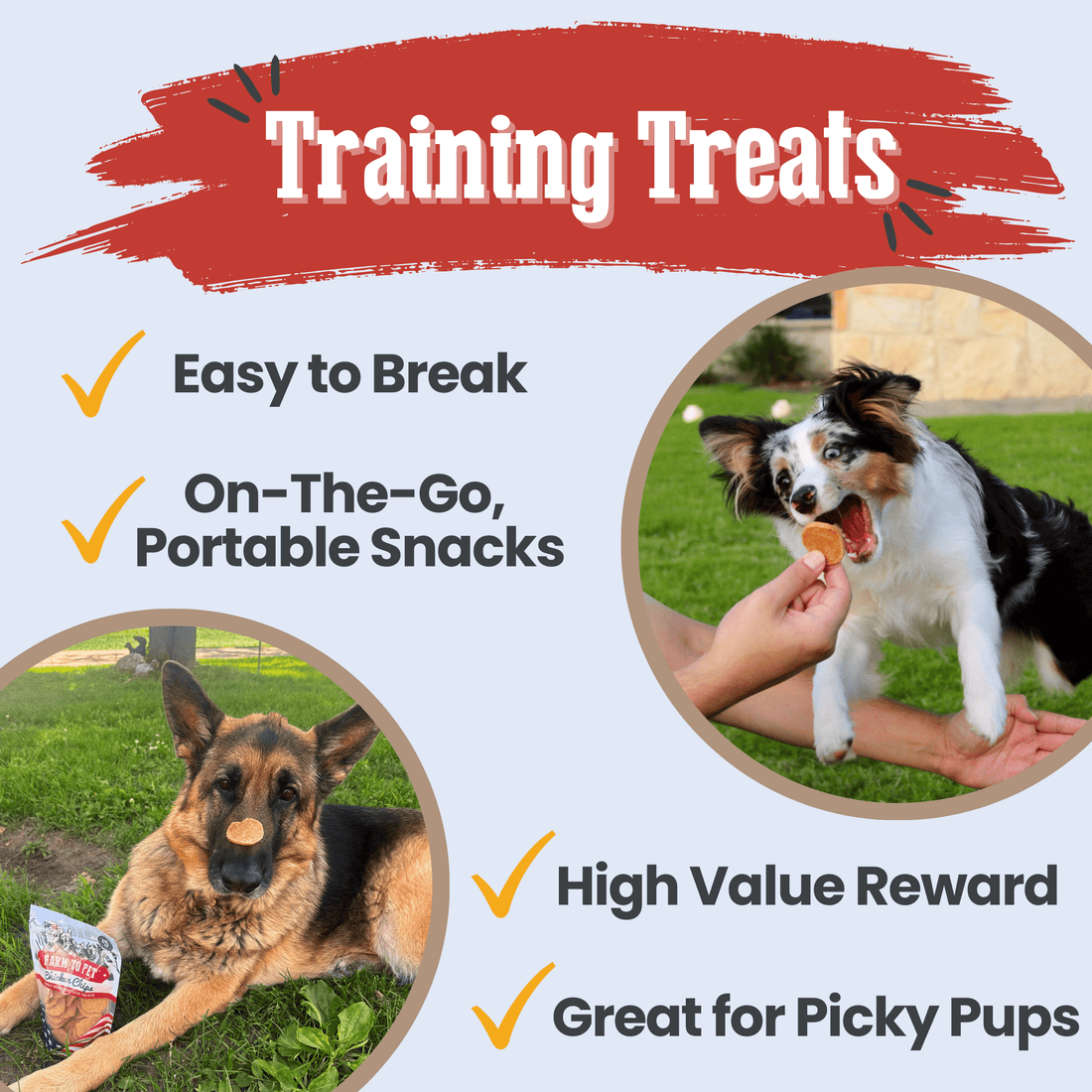 Farm To Pet Americana Chicken Chips for Dogs, USA-made chicken training treats in 12oz bag, crispy dog snack with natural chicken flavor.