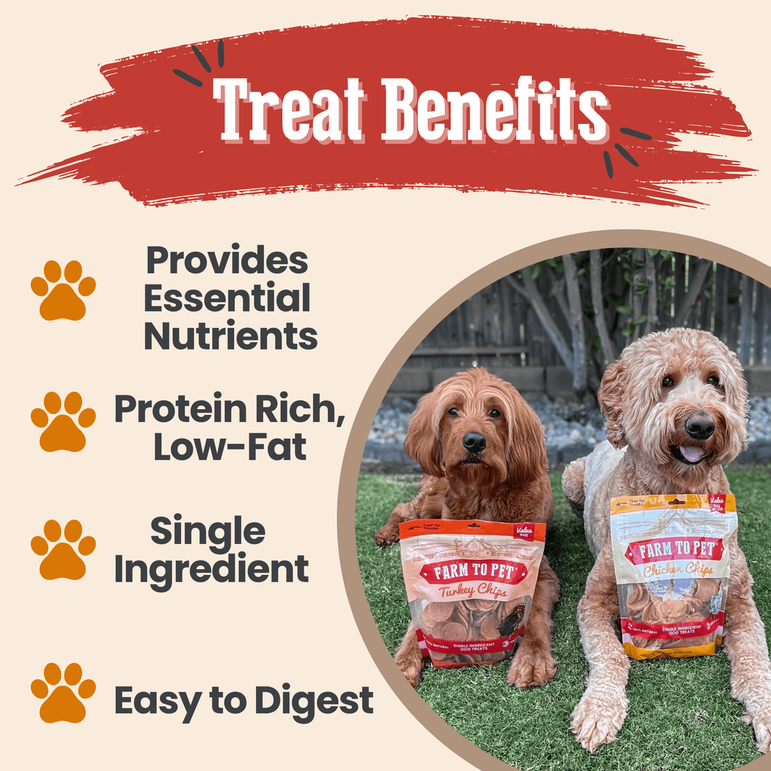 Farm To Pet turkey and chicken chip dog treats duo, single-ingredient poultry snacks in a 12oz combo pack.