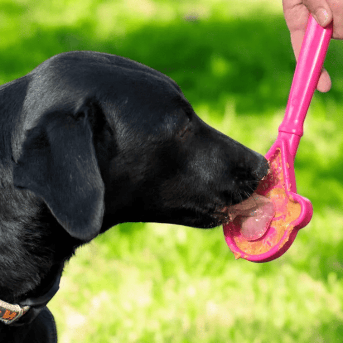 Farm To Pet lick stick dog training toy in pink ice cream flavor, designed for interactive dog licking and mental stimulation.