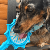 Blue Farm To Pet Lick Stick, an interactive dog training toy, designed for dogs to lick and engage.