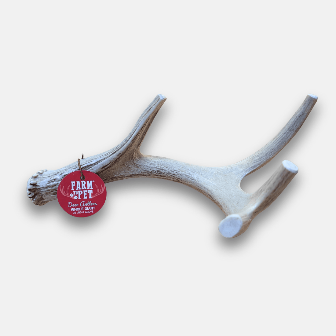 Large organic deer antler dog chew from Farm To Pet, showing natural shed antler with a rugged texture and smooth cut end.