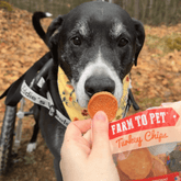 Farm To Pet turkey chips snack pack with low allergen treats for training, featuring heart-healthy dog treats in a black packaging.