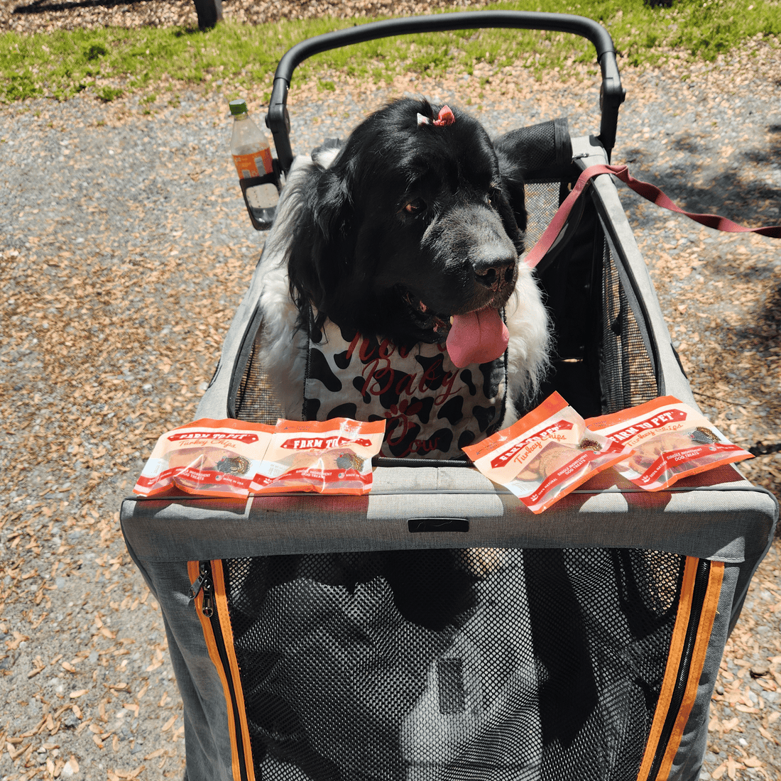 Farm To Pet turkey chips snack pack with heart-healthy, low allergen treats for training and on-the-go snacking.