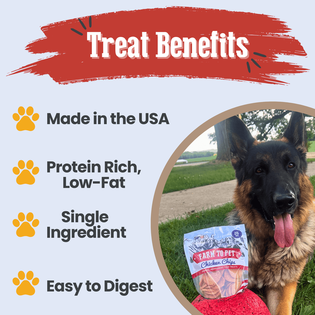 Farm To Pet Americana Chicken Chips for dogs, natural USA-made chicken snack treats in 4oz bag, healthy dog treat chips