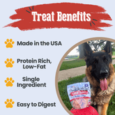 Farm To Pet Americana Chicken Chips for dogs, natural USA-made chicken snack treats in 4oz bag, healthy dog treat chips