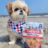 Farm To Pet Americana Chicken Chips for Dogs, natural USA-made chicken dog treats in a 4oz bag with beach-themed background.