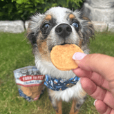 Farm To Pet Americana Chicken Chips for Dogs, natural USA-made chicken dog treats in a 4oz bag, crispy and flavorful dog snack.