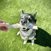 Large organic reindeer antler dog chew from Farm To Pet, showing a split antler with textured surface for dogs.