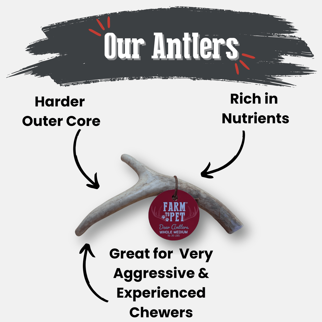 Organic deer antler dog chew from Farm To Pet, medium size, non-splintering natural antler chew for dogs.