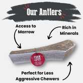 All-natural split elk antler dog chew by Farm To Pet, showing a large, non-splintering elk antler bone for dogs.