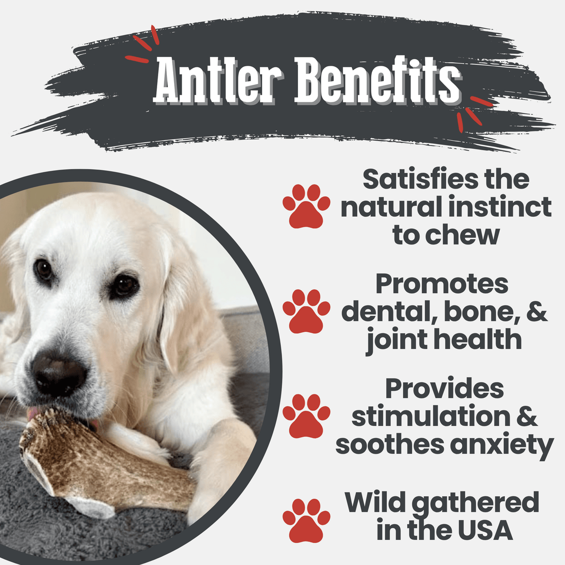 Farm To Pet elk antler dog chew, a split giant antler bone for dogs, all-natural, non-splintering, durable antler chew for dogs.