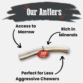 Natural elk antler dog chew from Farm To Pet, showing a split medium-sized antler chew for dogs, non-splintering and durable.