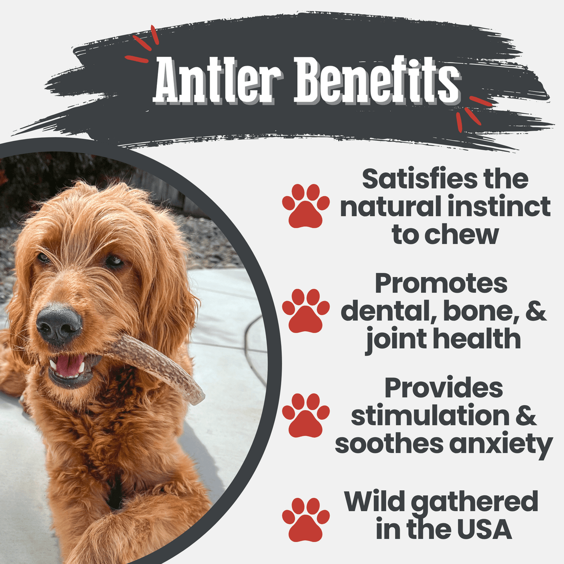 Farm To Pet elk antler dog chew, a natural split elk antler bone for dogs, showing the textured, durable antler material.