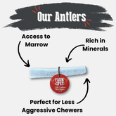 Organic elk antler dog chew from Farm To Pet, showing a split small antler chew for dogs, non-splintering and all-natural.