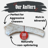 Farm To Pet elk antler dog chew, a natural, whole giant antler bone for dogs, non-splintering and durable dog chew treat.