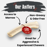 Large organic reindeer antler dog chew by Farm To Pet, natural split antler chew for dogs, non-splintering, durable dog bone treat.