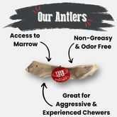 Organic Reindeer Antler Dog Chew by Farm To Pet, split medium-sized antler bone for dogs, non-splintering, durable chew toy