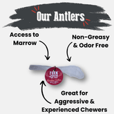 Small Farm To Pet organic reindeer antler dog chew showing a split antler with natural texture, ideal for durable, non-splintering dog treats.
