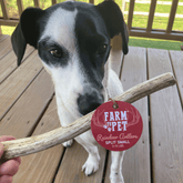 Small split reindeer antler dog chew by Farm To Pet, organic, non-splintering antler chew for dogs