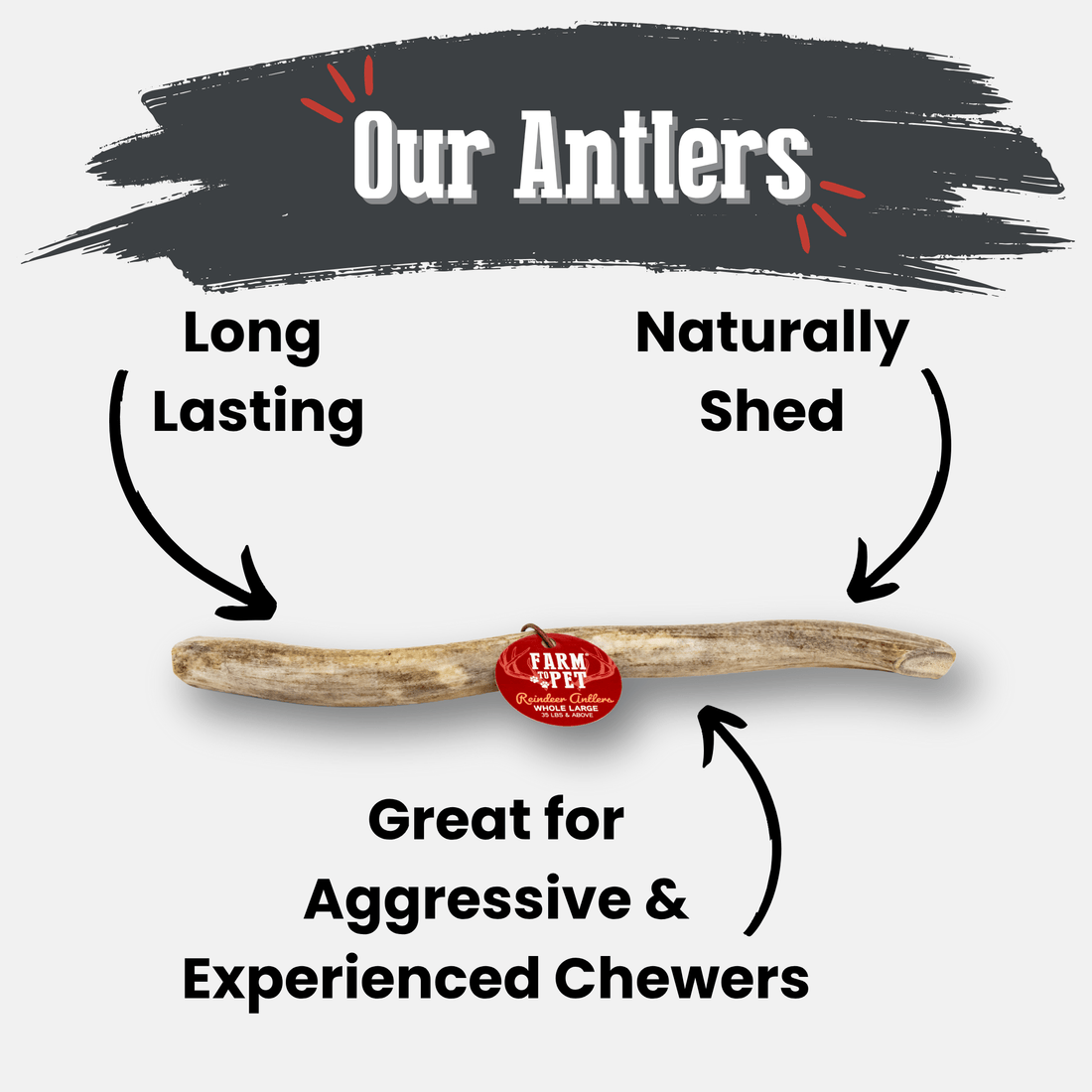 Large Farm To Pet organic reindeer antler dog chew showing a whole, natural, non-splintering antler for dogs.